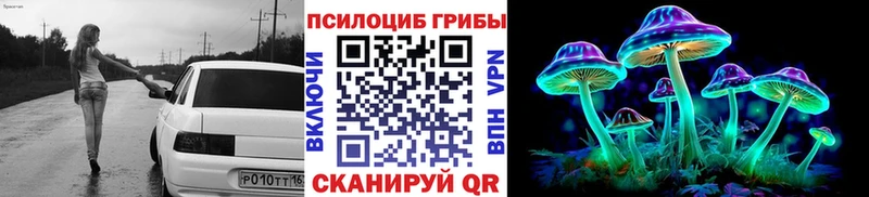 Купить  Азнакаево  Псилоцибиновые грибы Cubensis 